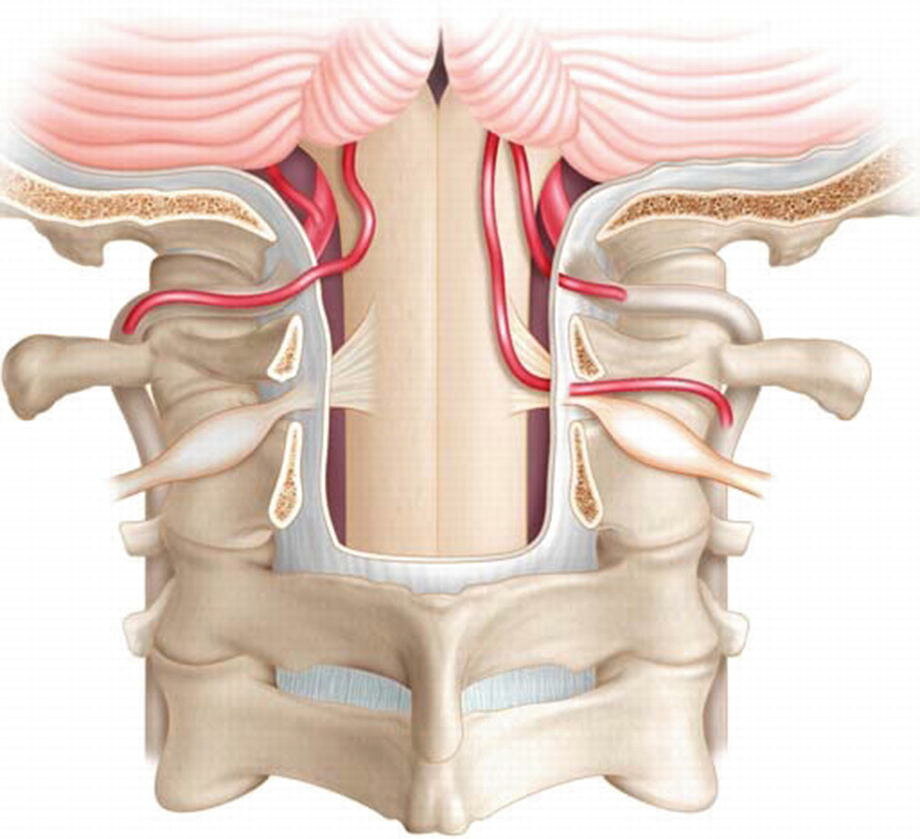 CV Junction Surgery - Dr. Palak Jaiswal